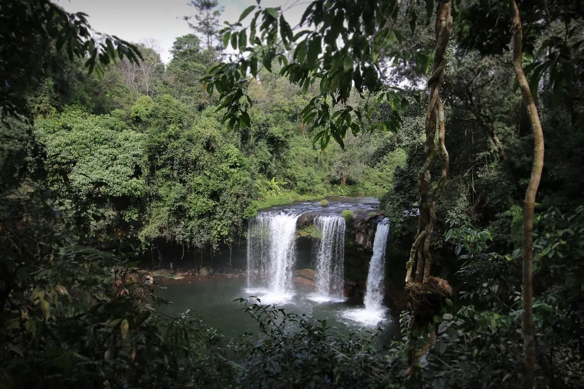 Tad Champi waterfall seen through dense jungle foliage on the Bolaven Plateau
