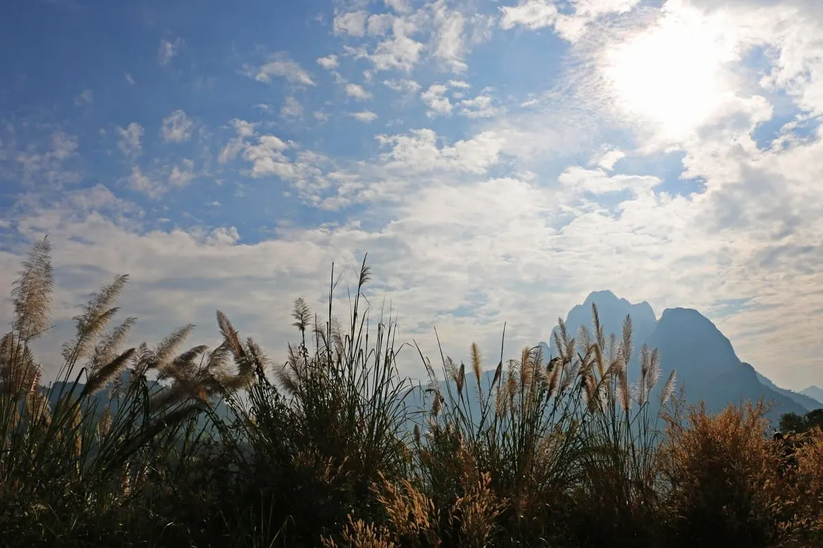 Wild grass silhouetted against karst mountain peaks under a bright cloudy sky, Laos.