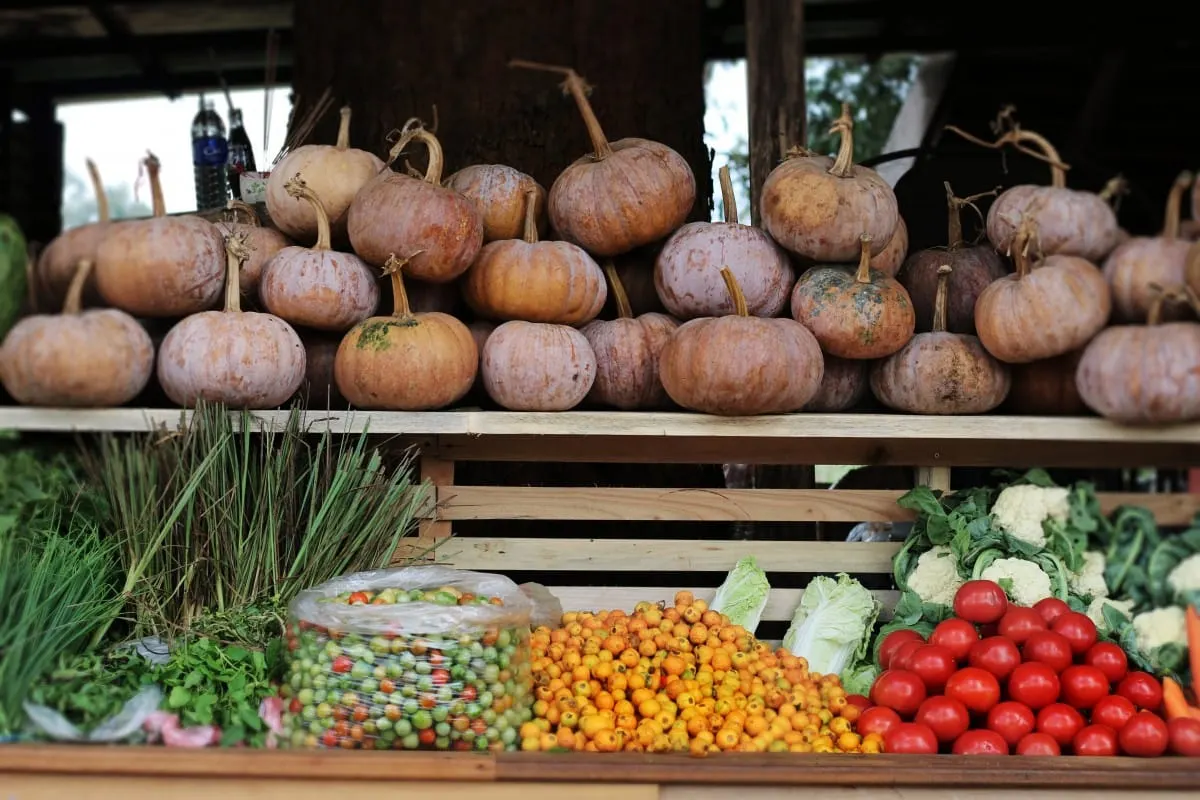 Roadside stall stacked with pumpkins, tomatoes and vegetables, Laos