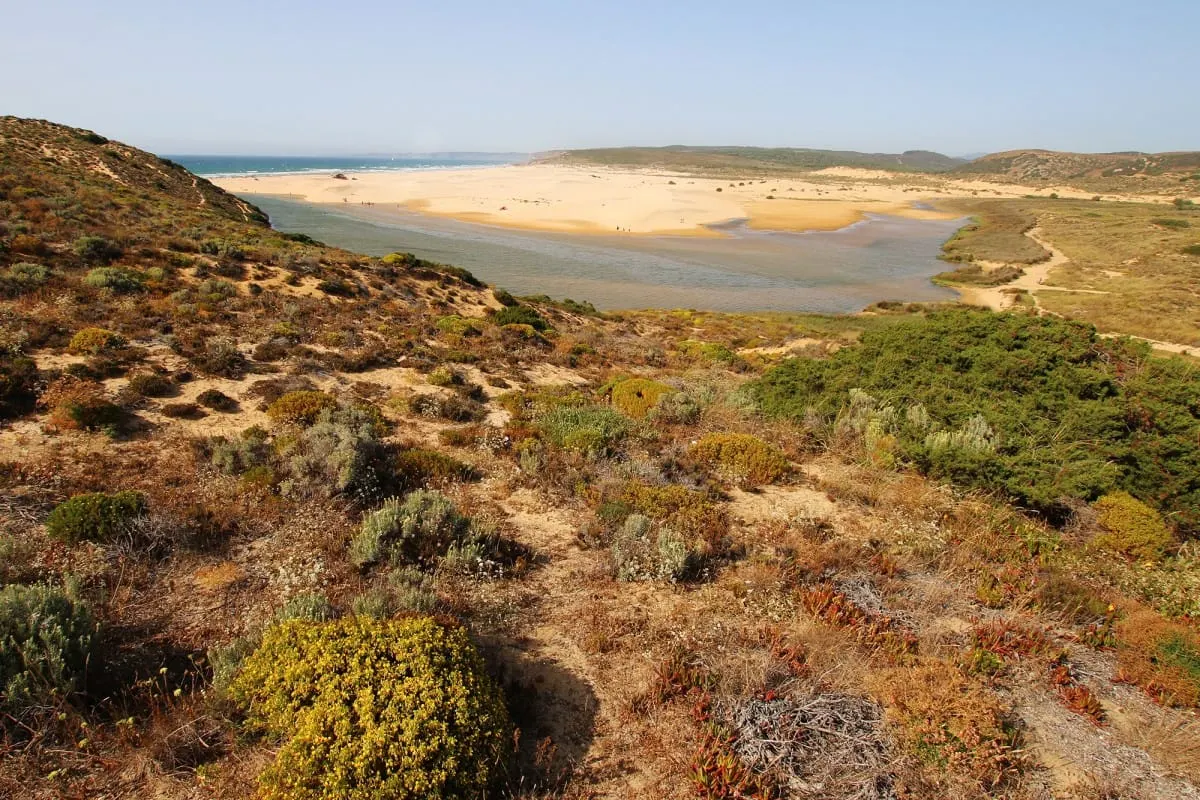 Wide sandy beach and lagoon seen from shrub-covered dunes on Portugal's Atlantic coast