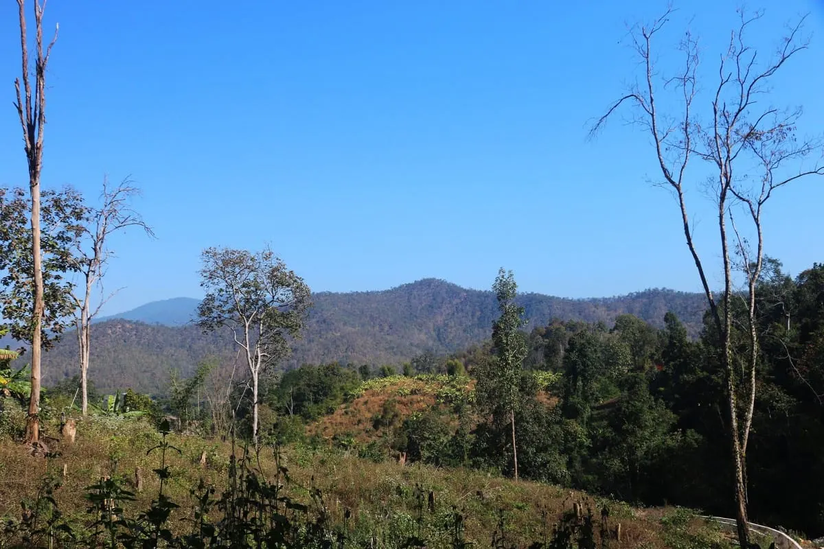 Forested hills under a clear blue sky on a trek near Mae Wang.