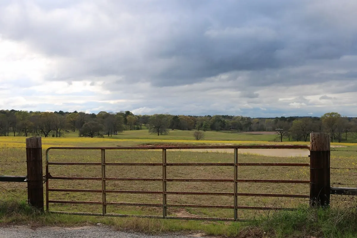 Rusty metal farm gate before a green pasture under heavy storm clouds